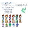 Zing Vegan Protein Bars Variety Pack - Top 6 Flavors, Gluten Free Nutrition Bars, High Protein & Fiber, Soy Free, Dairy Free Plant Based Protein, Kosher, Low Sugar, No Sugar Alcohols - 12 count