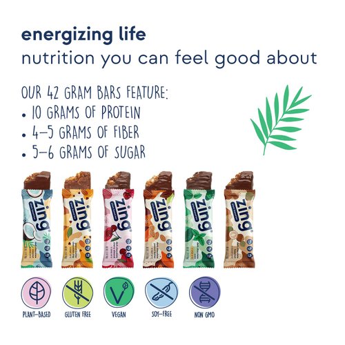 Zing Vegan Protein Bars Variety Pack - Top 6 Flavors, Gluten Free Nutrition Bars, High Protein & Fiber, Soy Free, Dairy Free Plant Based Protein, Kosher, Low Sugar, No Sugar Alcohols - 12 count