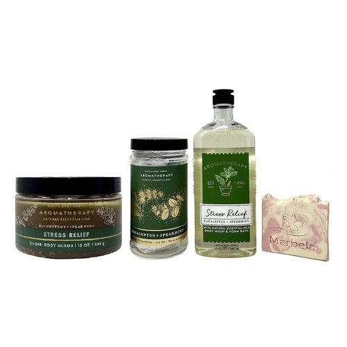 Bath & Body Works Eucalyptus Spearmint Gift Set - Body Wash, Body Scrub and Shower Steamers with a Himalayan Salts Springs Sample Soap