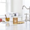 MRS. MEYER'S CLEAN DAY Variety, 1 Mrs. Meyer's Liquid Hand Soap, Acorn Spice, 12.5 OZ, 1 Mrs. Meyer's Liquid Hand Soap Apple Cider, 12.5 OZ, 1 CT