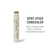 Jillian Dempsey Spot Stick Concealer | Easy Blending Matte Concealer for Blemishes & Uneven Skin Tones | Shade No. 10: Medium-Deep with Warm Undertones