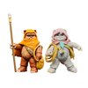 Star Wars The Vintage Collection Wicket W. Warrick & Kneesaa, Star Wars: Ewoks Collectible 3.75” Action Figures 2-Pack