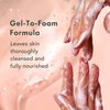 Rael Feminine Wash, Soothing Gel to Foam Wash - pH Balance Feminine Wash for Women, Intimate Wash Women, Clean Ingredients, All Skin Types, Vegan, Cruelty Free (4.4 Fl Oz, Pack of 2)