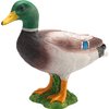 MOJO Mallard Duck Male Toy Figure