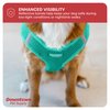 Downtown Pet Supply Step in Dog Harness for Small Dogs No Pull, Medium, Bermuda Blue - Adjustable Harness with Padded Mesh Fabric and Reflective Trim - Buckle Strap Harness for Dogs