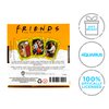 AQUARIUS Friends Playing Cards - Friends Shaped Deck of Cards for Your Favorite Card Games - Officially Licensed Friends TV Show Merchandise & Collectibles