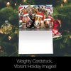 Tree-Free Greetings Christmas Cards and Envelopes, Holiday Card Set, 5 x 7 Inch Blank Cards, Box Set of 10, Horsing Around Holiday, (HB93243)