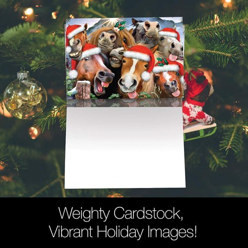 Tree-Free Greetings Christmas Cards and Envelopes, Holiday Card Set, 5 x 7 Inch Blank Cards, Box Set of 10, Horsing Around Holiday, (HB93243)