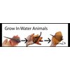 Grow an Ocean Animal in Water - Add Water and it Grows up to 9" - Sea Critter Toy Bath Fun Science Expanding Novelty Magic Absorbent Polymer Toy (Set of 3 Random Animals)