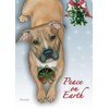 Pit Bull Christmas Cards Set of 10 cards & 10 envelopes