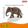 Schleich Wild Life, Animal Figurine, Animal Toys for Boys and Girls 3-8 years old, Female Elephant, Ages 3+, Multicolor, 3.6 inch