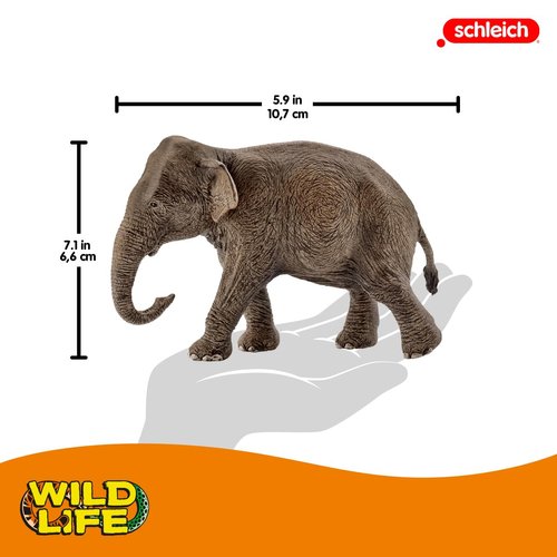 Schleich Wild Life, Animal Figurine, Animal Toys for Boys and Girls 3-8 years old, Female Elephant, Ages 3+, Multicolor, 3.6 inch