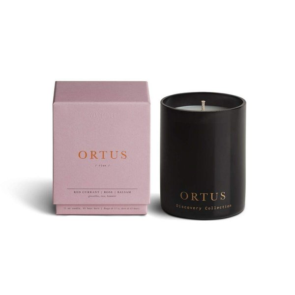 Vancouver Candle Co. Ortus Discovery Candle – Non-Toxic Soy Wax Aromatherapy Candle – Handmade with Natural Essential Oil – Strong Scented, Long Lasting 10 Ounce Jar Candle with Gift Box