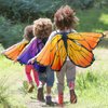D.Q.Z 6 Pcs Girls Fairy Butterfly Wings for Kids Halloween Costumes with Antenna Headband Mask Party Favors (Purple-Orange)