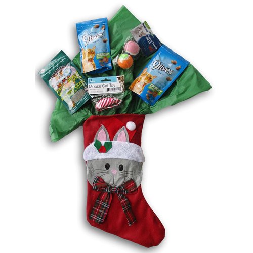 FriendShip Shop Holiday Christmas Cat Stocking Gift Filled with Cat Treats - Crunchy Cat Treats, Catnip Balls, Tartar Control Treats, and Premium Catnip