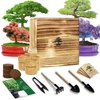 Bonsai Tree Kit, Wooden Gift Box Indoor Bonsai Tree Starter Kit with Tools & Japanese Plants Seeds, Growing DIY Gardening Gifts for Plant Lovers