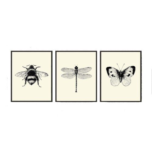 Bee Dragonfly Butterfly Wall Art Prints set of 3 Prints 8x10 - Unframed - Beautiful Black and White Illustration Ivory Natural Background Home Room Decor