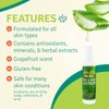Aloe Life - Face & Body Lotion, Concentrated Formula, Hydrates Dry Skin, Contains Antioxidants, Minerals, & Herbal Extracts, Pleasant Grapefruit Scent, Safe For All Skin Types, Gluten-Free (7 oz)