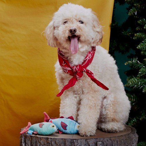 Bark Dog Toy Trout Twins