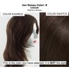 Bundle - 4 Item: EasiFringe HD Clip in Bang, Christy's Wigs Q & A Booklet, Synthetic Shampoo & Wide Tooth Comb - Color: 8