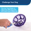 PetSafe Busy Buddy Kibble Nibble - Dog Toy - Treat and Food Dispenser - Slow Feeder - Small