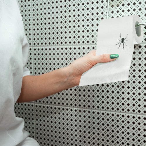 Laila and Lainey Spider Funny Toilet Paper - Prank, Practical Joke, or Gag Gift - Funny White Elephant Gift Idea …