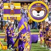 Havercamp LSU Tailgate Party Supplies (for 16 Guests). Features Mike the Tiger in 16 ea. LSU Paper Plates and Napkins. Officially Licensed by LSU!