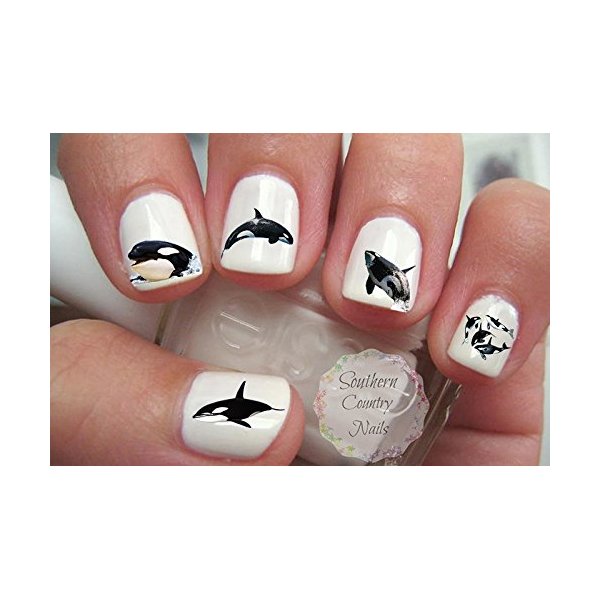 Whales Orca Killer Whale Nail Art Decals
