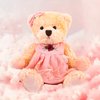 Riverwar Small Teddy Bear Stuffed Animal in a Dress, Cute Soft Plush Toy, Cuddly Gift for Babies, Boys, Girls on Christmas or Valentine's Day (10 inches, Pink Orange Dress)