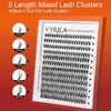 VYRILA Lash Cluster 240pcs Individual Lashes,8-16mm Diy Lash Extension,C Curl Lash Clusters Wispy,3D Natural Lash Clusters Look Like Eyelash Extension DIY at Home (Orange 40P-C-8-16mix)