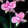 LIGHTAILING Led Lighting Kit for Lego- 10311 Orchid Building Blocks Model - LED Light Set Compatible with Lego Model(Not Include Lego Model)