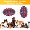 CoubonTail Dog Toy Ball, Dog Spiky Toy Ball with Squeaker, for Floating Chewing Fetching and Interactive Play (2pc Kit)