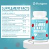 Lumbrokinase Supplement, 1.2 Million LKU - 120mg Capsules, Potent Nattokinase Alternative with Proteolytic Enzymes and Herbal Blend