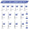JUIEYIR 620Pcs Pop Rivets Assortment Kit, 14 Sizes Aluminum Blind Rivets (3/32" 1/8" 5/32" 3/16" 1/4") with 304 Stainless Steel Pop Rivet Washer, Assorted Blind Rivets