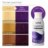 Kiss Express Semi-Permanent Hair Color 100mL (3.5 US fl.oz) (1 PACK, Real Purple)