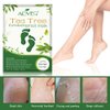 Foot Peel Mask 3 Pack， Exfoliator Peel Off Calluses Dead Skin Callus Remover，Baby Soft Smooth Touch Feet-Men Women (Tea Tree)