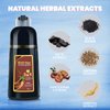 IIIMEIDU Hair Dye Shampoo 3 in 1 for Gray Hair, Herbal Ingredients Shampoo Black Hair Dye for Women Men, Grey Coverage Shampoo 500ml (Burgundy)