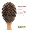 Kent OG1 Mens Hair Brush and Beard Brush, Boar Bristle Hair Brush, Club Hair Brush for Grooming, Scalp Care, and Kent Brush for Beard Straightening