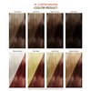 Adore Semi Permanent Hair Color - Vegan and Cruelty-Free Red Hair Dye - 4 Fl Oz - 076 Copper Brown (Pack of 1)