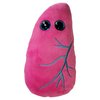GIANTmicrobes Lung Plush, Respiratory Therapist Gifts, Pulmonologist Gifts, Respiratory Therapy Gifts, Lung Transplant Survivor Gifts, Lung Cancer Survivor Gifts, Lung Pillow, Lung Stuffed Animal
