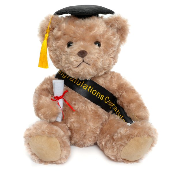 WEIGEDU Graduation Gifts Teddy Bear Stuffed Animal Plush Toy with Doctoral Tam Velvet Gold Bullion Tassel Diploma for Man Women Girls Boys Congratulatory Party