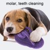 Pet Dog Chew Toy, Cotton Rope Interactive Molar Toy Flip Flops Shape for Teething Puppies Molar Teeth Cleaning Toy