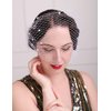 Aimimier Bridal Short Veil with Pearl Comb White Single-layered Birdcage Veil for Wedding (White)