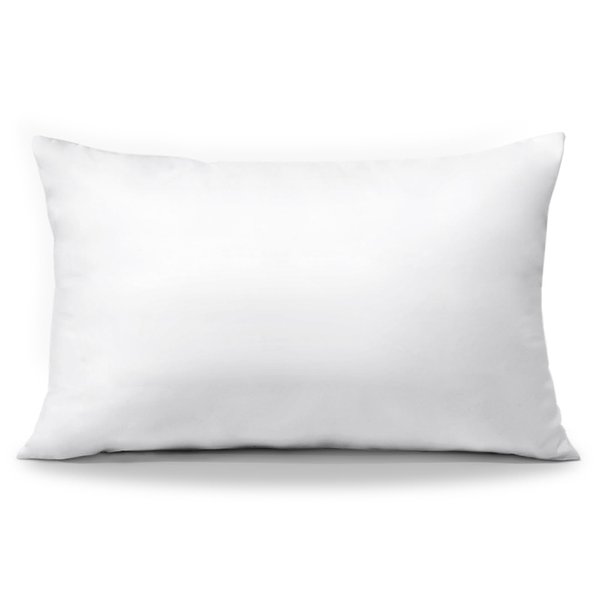 OTOSTAR Throw Pillow Insert, 12 x 20 Cushion Inner Soft Fluffy Plump Stuffer Cushion Pad White Decorative Pillow Insert