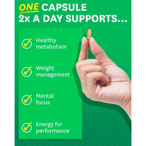 Zenwise Health Green Tea Extract with EGCG & Green Coffee Bean - Antioxidant & Immune Supplement –Metabolism Support + Heart & Brain Health+Memory Boost - 120 Count