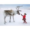 Psaris Productions Girl and Reindeer Christmas Cards Boxed With Envelopes Set of 12 Holiday Cards and 12 Envelopes. Made in USA.