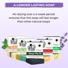 All Natural Bar Soap for Men Handmade Cold Process with Organic Ingredients and Essential Oils Mens Soap - Pine Tar, Citrus Cedarwood, Irish Mountain Rain, Good Room, Dogs Bay Beach Pack of 5