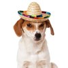 CIEOVO Dog Sombrero Hat, Mini Straw Sombrero Hats Mexican Hats Sombrero Party Hats for Small Pets/Puppy/Cat