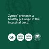 Standard Process Zymex Capsules - Whole Food Digestion and Digestive Health with Rice Bran, Spanish Moss, and Beet Root - 150 Capsules