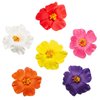 Generic Hawaiian Flower Hair Clips for Women, 6Pcs Plumeria Claw Clips for Think Thin Hair, 3.5 Inch Artificial Flower Clips for Vacation Beach Party (Hibiscus)